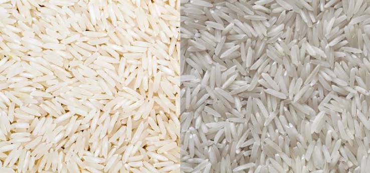 Basmati & Non-Basmati Rice